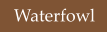 Waterfowl